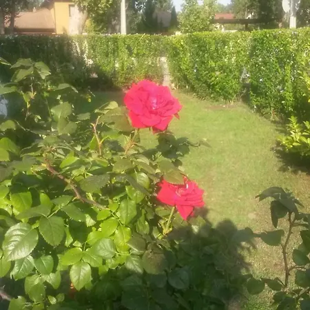 Csilla Nyaralo Pensionat *